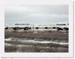 028 Polar bear 9 * There are two bears wrestling in front of lots of tundra buggies. * 2048 x 1536 * (997KB)